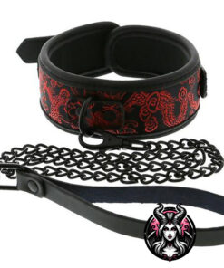 Alternative view of Blaze deluxe collar and leash